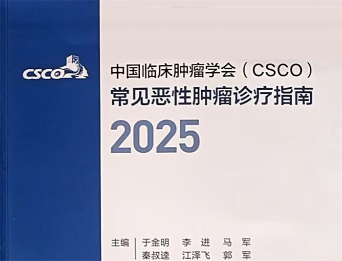2025CSCO常见恶性肿瘤诊疗指南（合订版）PDF下载在线观看
