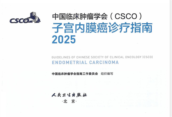 2025CSCO子宫内膜癌诊疗指南pdf版