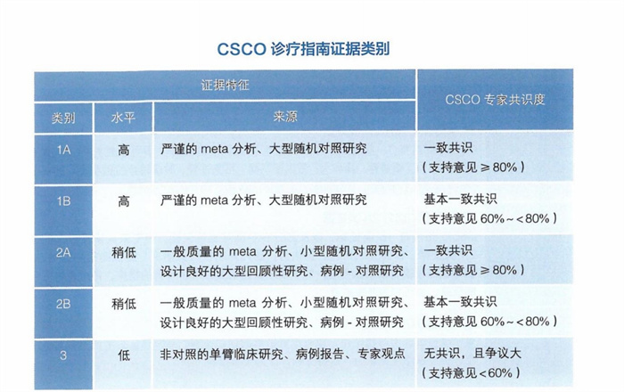 2025CSCO子宫内膜癌诊疗指南pdf版