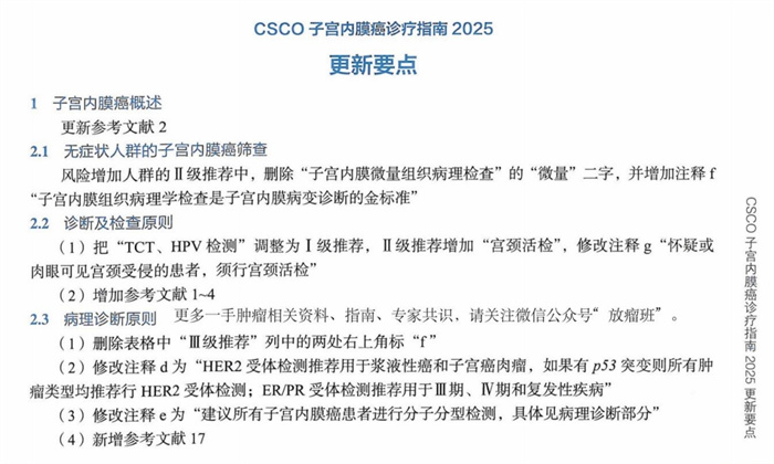 2025CSCO子宫内膜癌诊疗指南pdf版
